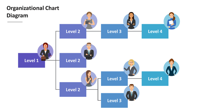 Organizational diagram showing with one Level 1 figure, two Level 2 figures, three Level 3 figures, and four Level 4 figures.