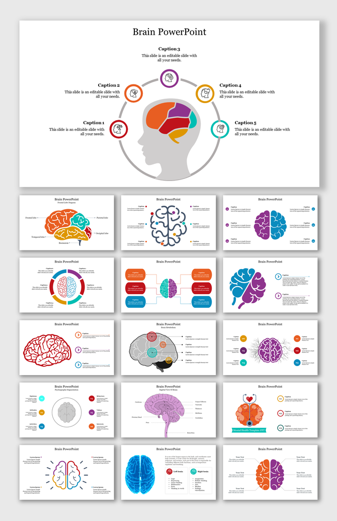 A collection of PPT slides showcasing brain regions and cognitive functions with various colorful diagrams.