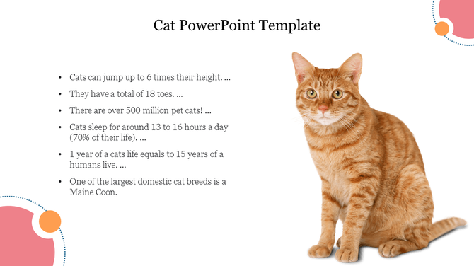 A side featuring an orange tabby cat sitting beside interesting facts in a clean design on a white background.