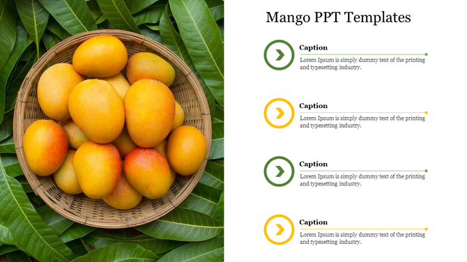 Mango PPT slide with a basket of mangoes on the left and text sections for captions on the right side.