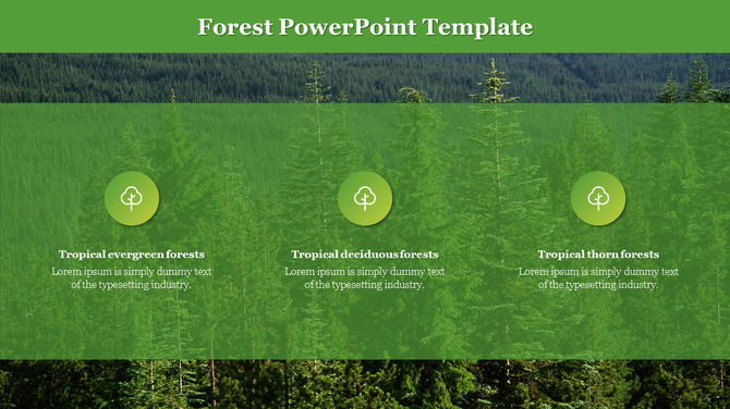 Forest background slide featuring three nature icons and categories for evergreen, deciduous, and thorn forests in a layout.