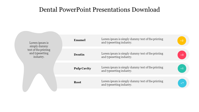 Dental PowerPoint slide showcasing the structure of a tooth, detailing enamel, dentin, pulp cavity, and root sections.