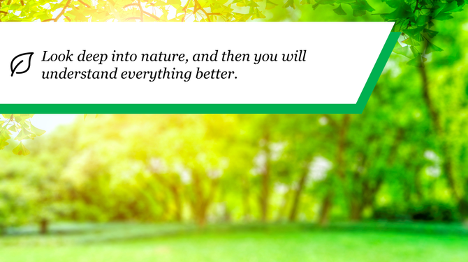 Nature quote on a white banner with a leaf icon, over a blurred green forest background with sunlight.