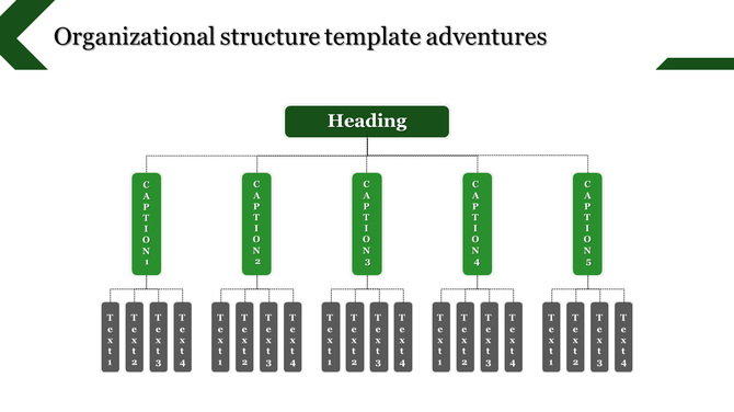 Organizational structure slide showcasing a hierarchical chart with captions and subcategories in green and gray color.