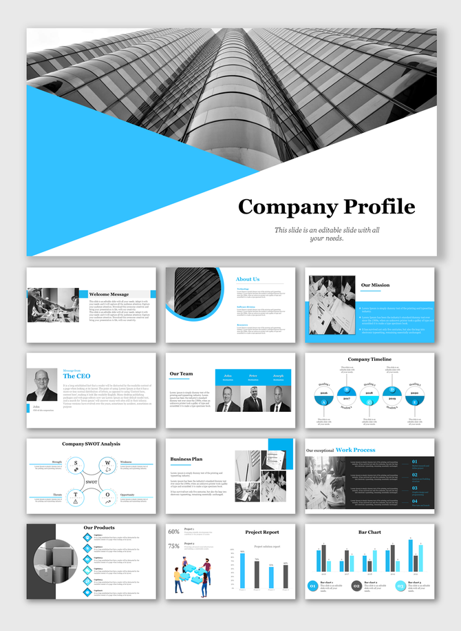 Company profile slide deck with sections on the mission, products, timeline, and bar charts, with a blue and white theme.