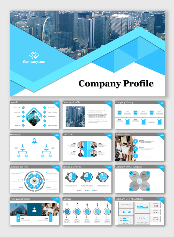 Company profile with a blue design, including sections for agenda, business process, services, vision and mission.