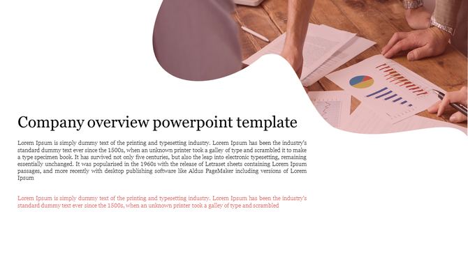 Company overview slide featuring text, alongside a professional image of a person working with graphs.