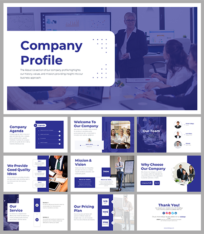 Company profile slide deck with a blue and white theme, featuring agenda, team introduction, pricing, and vision.