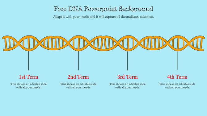 DNA strand illustration with four labeled sections below, each representing a term, on a light blue background.