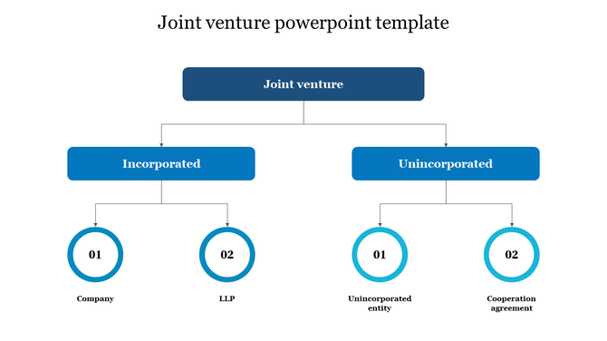 Hierarchy diagram with blue boxes and numbered circular nodes, illustrating joint venture types and subcategories.