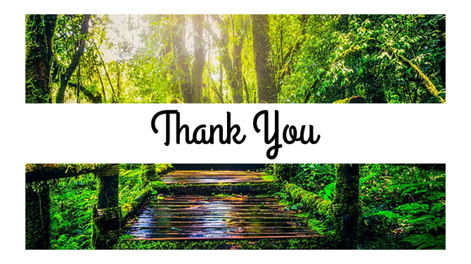 PowerPoint closure slide saying Thank You against a serene jungle and wooden pathway scene.