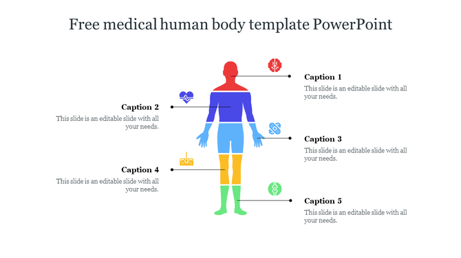 Illustration of a human body template highlighting different parts and their medical significance with icons and captions.