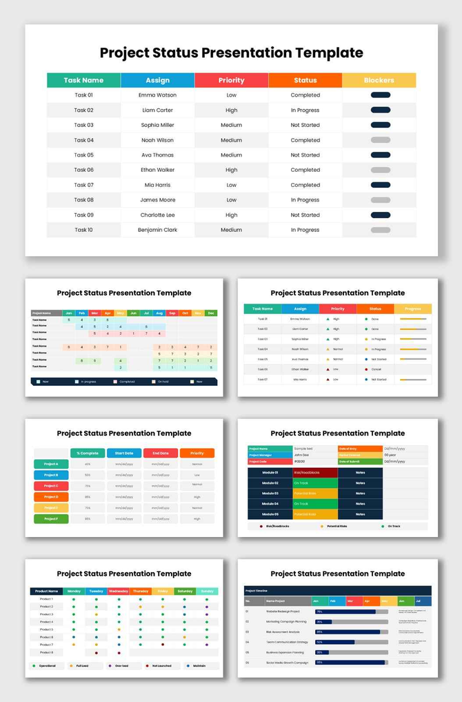 Project Status infographic presentation featuring team assignments, work progress, blockers, and performance reports.