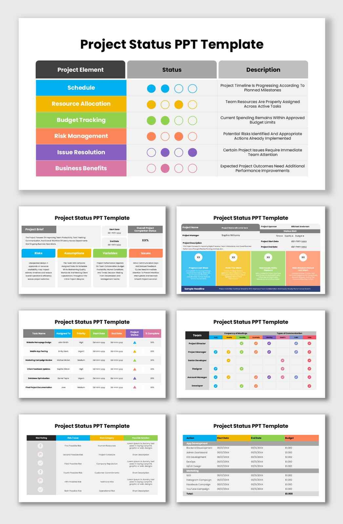 Project status infographic presentation featuring schedule tracking, communication plans, and performance status charts.