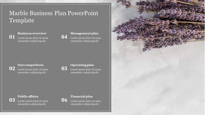 Business plan slide with six gray text blocks numbered 01 to 06, placed on a marble background with lavender sprigs.