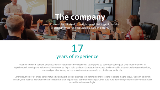 Slide featuring a professional team discussion image and a large number 17 emphasizing company experience.