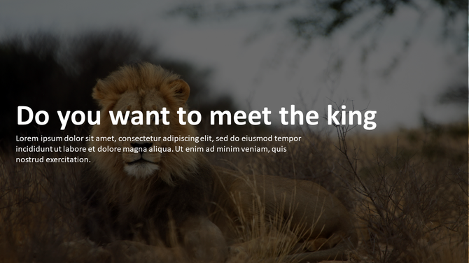 Zoo PowerPoint template slide featuring a majestic lion lying down in a natural habitat with bold text overlay.
