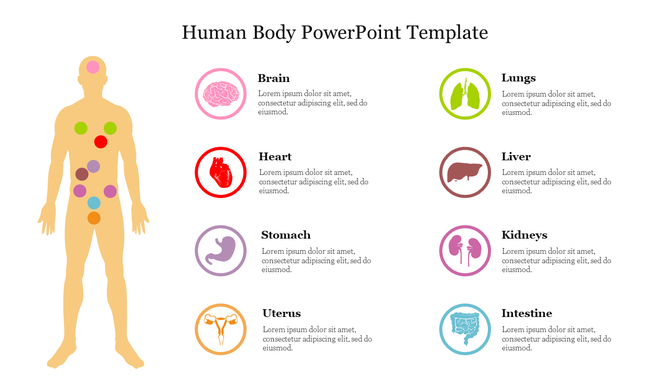 Illustration of the human body with colored circles highlighting different organs, matched with icons in a column layout.