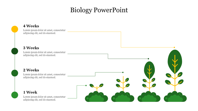 Biological plant growth stages over four weeks, illustrated with green and yellow markers and plants increasing in size.