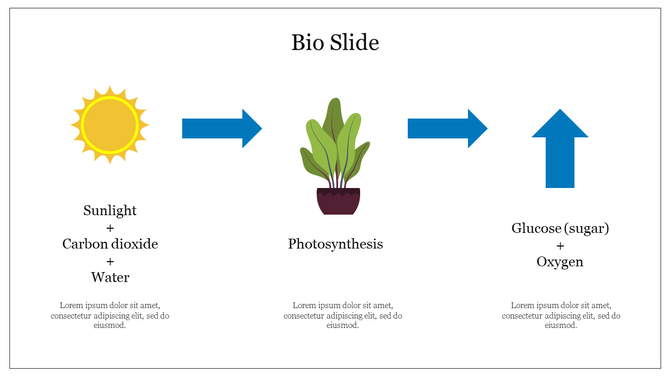 Bio slide showing the process of photosynthesis sunlight, carbon dioxide, and water transforming into glucose and oxygen.
