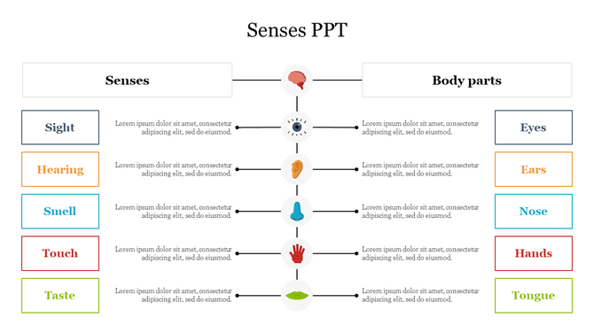 Slide showing a chart with five central icons connecting senses to body parts in colored boxes on each side.