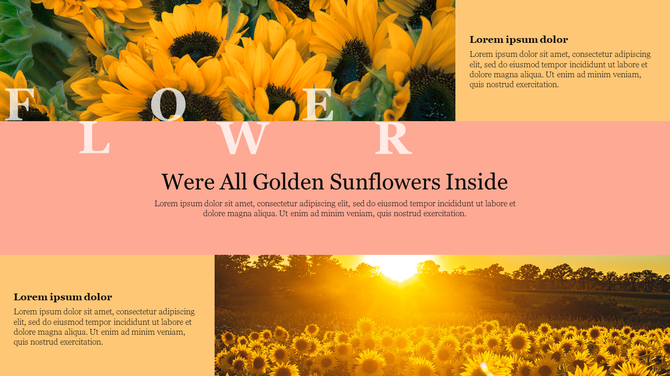Slide with vibrant sunflower images with a central peach banner, and text sections in yellow blocks.