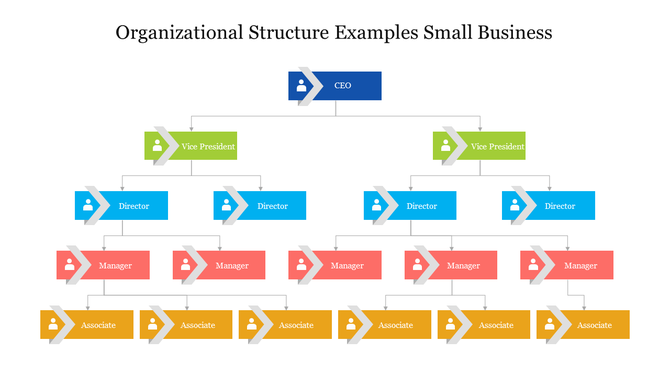 Organizational structure chart featuring a CEO leading to vice presidents, directors,managers, and associates.