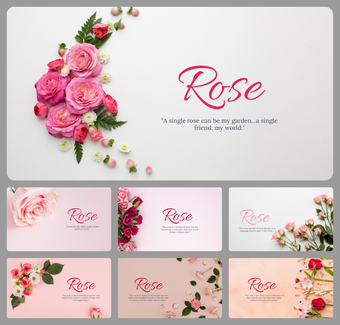Collection of slides featuring vibrant pink roses arranged on soft pastel backgrounds, with elegant typography.