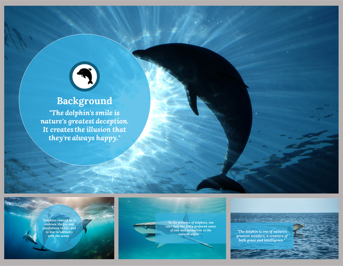 Pack of slides with an image of a dolphin in various aquatic scenes and an overlay text area with quote.
