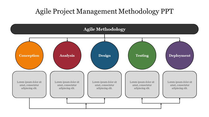 Flowchart depicting the Agile project management methodology with five stages and placeholder text.