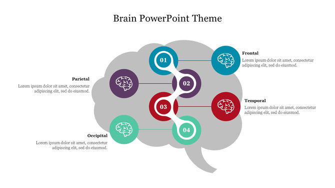 Slide featuring a gray brain shape with circular infographic markers and labeled descriptions for four brain areas.