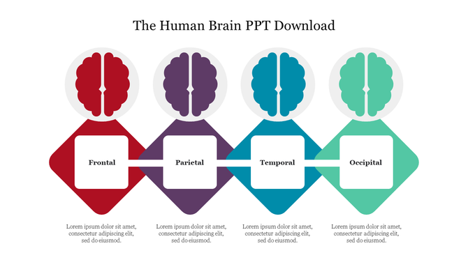 Four brain illustrations in red, purple, blue, and green, aligned horizontally above corresponding labeled diamond sections.