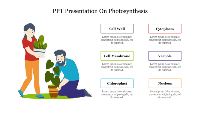 Photosynthesis-themed slide featuring plant caretakers on the left and descriptions of cell structures, on the right.