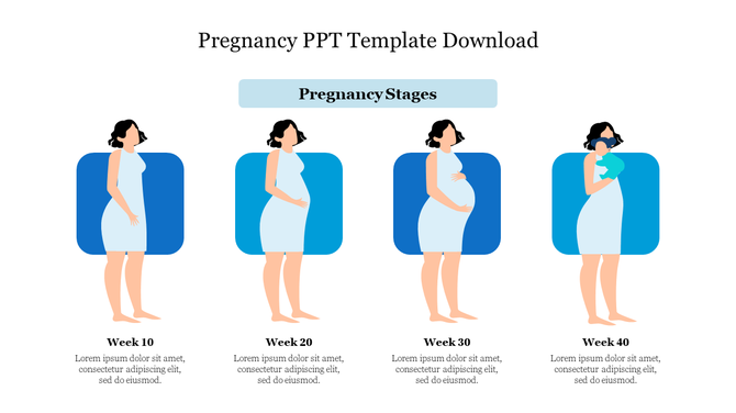 Pregnancy stages slide shows the progression from Week 10 to 40, including images of a pregnant woman at each stage.