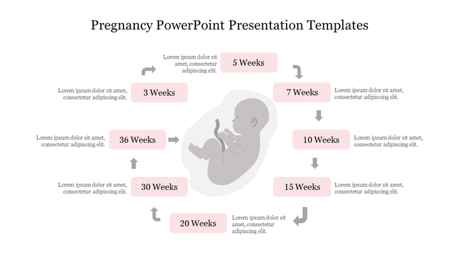 Fetus illustration in the center, with a circular flow of pink boxes showing weeks of pregnancy from 3 to 36.
