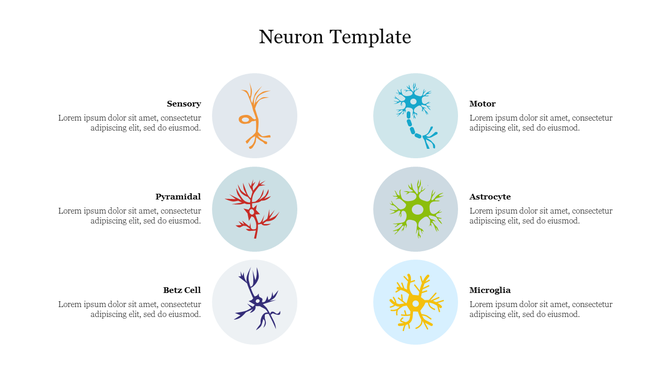 Slide featuring six neuron types in circular icons, in orange, red, purple, blue, green, and yellow, arranged in two columns.