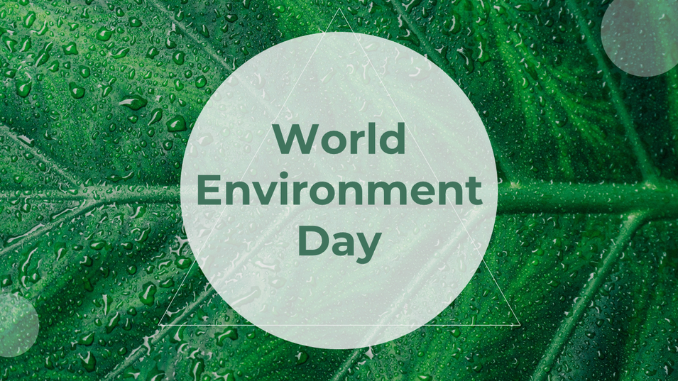 World Environment Day