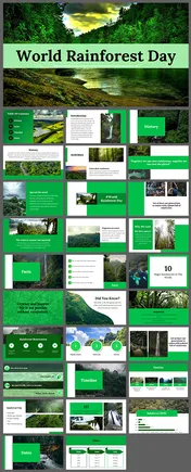 100142-world-rainforest-day-01