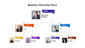 A business hierarchy chart template showing materials and methodology with percentage values.