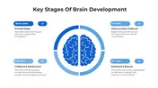 Get This Brain Development PowerPoint And Canva Templates