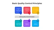 Basic Quality Control Principles PPT And Canva Slides