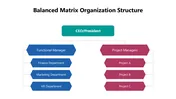Balanced Matrix Organization Structure Presentation