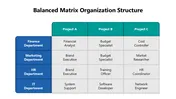 Balanced Matrix Organization Structure Presentation