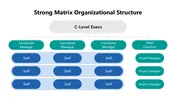 Strong Structure Pattern Strong Matrix Organizational Structure Presentation