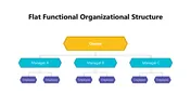 Flat Functional Organizational Structure PowerPoint