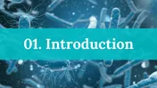 Infectious Disease PPT And Google Slides Templates