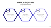 Explore Our Immune System Presentation And Google Slides