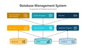 Get This Database Management System PPT And Google Slides