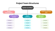 Writing Team Project Structure Download Our Project Team Structures PPT And Google Slides