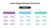 Our Structure Get Our Team Organizational Structure PPT And Google Slides